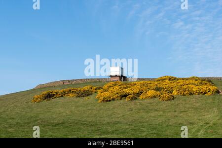 Vecchia stazione di osservazione della guardia costiera sopra le scogliere costiere a Bay Ness vicino a Robin Hood's Bay, costa dello Yorkshire Foto Stock