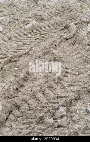 Cingoli pneumatici per trattori per impieghi gravosi in un'area di ingresso fangosa in fase di essiccazione. Metafora che si impantanano, impressioni profonde. Foto Stock