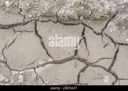 Crepe profonde nel terreno agricolo fangoso che asciuga. Per crepe politiche, scarsità di acqua, crepe di ritiro di suolo, perdita di acqua, ingegneria di suolo, Siccità nel Regno Unito. Foto Stock