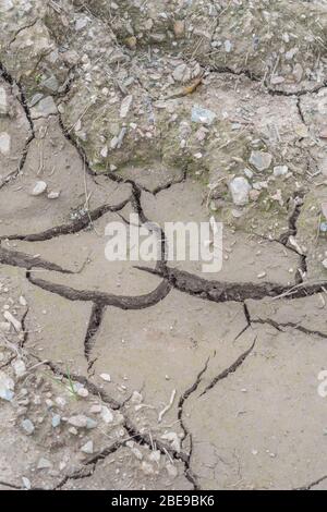 Crepe profonde nel terreno agricolo fangoso che asciuga. Per crepe politiche, scarsità di acqua, crepe di ritiro di suolo, perdita di acqua, ingegneria di suolo, Siccità nel Regno Unito. Foto Stock