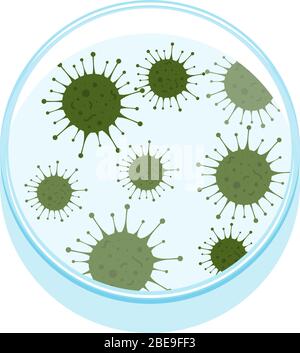 Illustrazione vettoriale di una piastra Petri con microbi. Batteri di ricerca di laboratorio Illustrazione Vettoriale