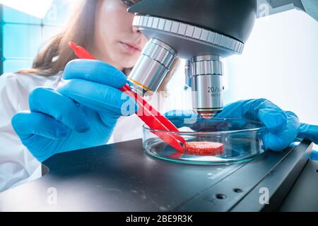 Controllo della qualità degli alimenti controllo del contenuto di nitrati ed erbicidi nelle fragole Foto Stock