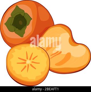 Illustrazione vettoriale di frutti gialli maturi e succosi. Persimmon arancione rotondo con foglie verdi. Primo piano di kaki fresco. Illustrazione Vettoriale