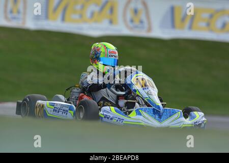 Carriera di Lando Norris nel karting Foto Stock