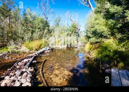 Area storica di Zumsteins nel Parco Nazionale di Grampians Foto Stock