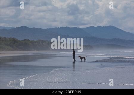 Silhouette uomo a piedi con cane lungo mare spiaggia bassa marea onde Pacifico tramonto mare calma tempo playa hermosa dominical Foto Stock