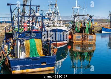 Barche da pesca legate al porto di Troon, Ayrshire, Scozia, Regno Unito Foto Stock