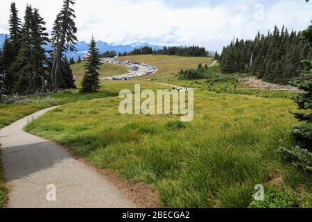 Vista panoramica del centro informatin, del suo parcheggio e delle Olympic Mountains da un sentiero escursionistico sul crinale dell'uragano Foto Stock