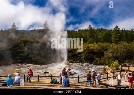 I turisti guardare il quotidiano eruzione del Lady Knox Geyser. Wai-O-Tapu Thermal Wonderland, Rotorua, Nuova Zelanda. Foto Stock