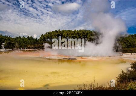 Pool centrale al Wai-O-Tapu Thermal Wonderland, Rotorua, Nuova Zelanda. Foto Stock