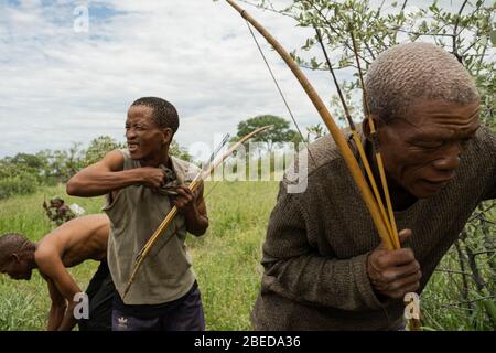 Cacciatori del villaggio di Deng//e a Nyae Nyae (Namibia) scorgere un Kudu e prepararsi a spillare l'animale. Foto Stock