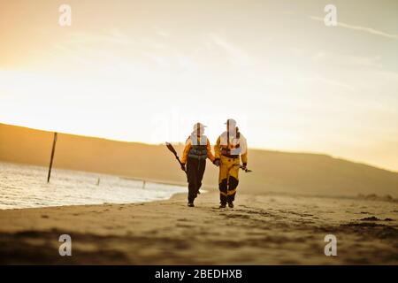 Felice coppia senior camminando mano nella mano mentre trasportano pale lungo una spiaggia di sabbia.