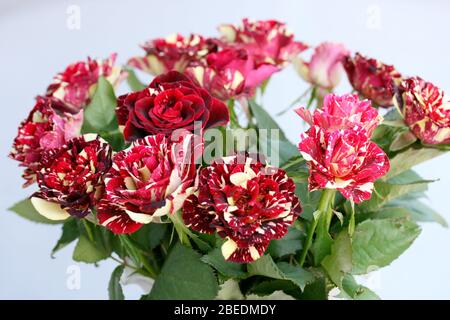 Un bel bouquet di rose rosse Ein schöner Strauss roter Rosen Foto Stock