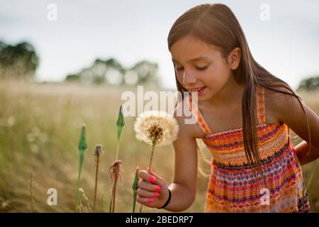 Sorridente giovane ragazza che raccoglie un dente di leone in un prato erboso Foto Stock