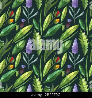 Motivo filerello senza cuciture con boccioli, lavanda e foglie. Motivo floreale su sfondo scuro. Foto Stock