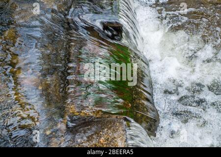 L'acqua fluente sembra essere un vetro a Des Moines Creek nello stato di Washington. Foto Stock