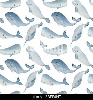 Modello senza cuciture acquerello con animali artici e su sfondo bianco. Balena, cachalot, narghala e beluga. Divertente illustrazione dei bambini. Foto Stock