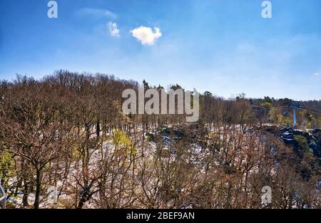 Alberi nelle montagne Harz di Thale. Sassonia-Anhalt, Germania Foto Stock