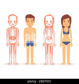 Uomo e donna, scheletri maschili e femminili isolati su sfondo bianco.  Scheletro uomo e donna, illustrazione vettoriale corpo umano femminile e  maschile Immagine e Vettoriale - Alamy