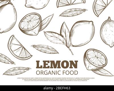 Poster banner di alimenti biologici con limoni disegnati a mano. Illustrazione vettoriale Illustrazione Vettoriale