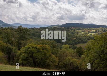 Campagna vicino a Štanjel, regione Obalno-kraška, Slovenia Foto Stock