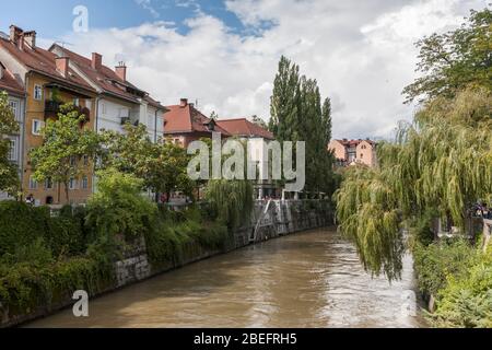 Il fiume Lubijanica da Suštarski Most (Ponte dei Cobblers), Lubiana, Slovenia Foto Stock