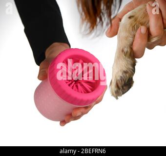 Un pulitore della zampa del cane per arrestare le malattie del cane e pulire le zampe dei cani dopo le passeggiate. Fotografato su sfondo bianco. Foto Stock