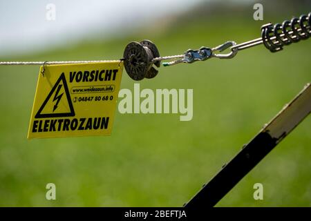 Recinzione elettrica su un pascolo di bestiame bovino, segnale di avvertimento, folgorazione, Foto Stock