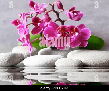 Set di pietre rosa orchidee e grigie spa su acqua e riflessione Foto Stock