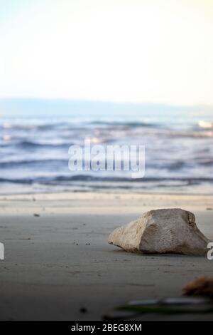 Roccia trapezoide su una spiaggia sabbiosa di Bacvice a Spalato, Croazia. Mare blu offuscato in lontananza, cielo blu e isole appena visibili nella diva Foto Stock