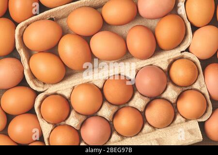 molte uova di pollo fresche marrone vista dall'alto Foto Stock