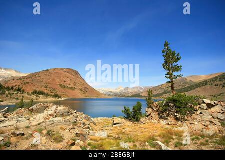 Vista soleggiata del lago Saddlebag a Inyo, California Foto Stock