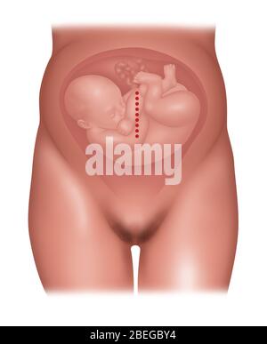 Incisione classica Cesareo, illustrazione Foto Stock