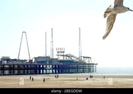 Seagull vola oltre South Pier e una spiaggia tranquilla e fuori dalla cornice in una giornata estiva soleggiata a Blackpool Foto Stock