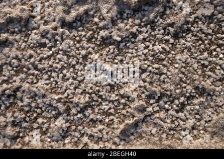 Fondo sabbioso di un serbatoio essiccato con crepe e cristalli di sale. Foto Stock