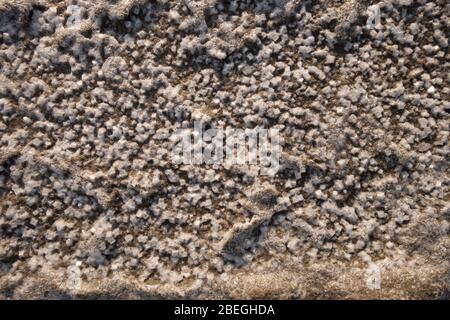 Fondo sabbioso di un serbatoio essiccato con crepe e cristalli di sale. Foto Stock