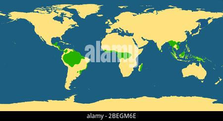 Mappa del mondo con aree tropicali della foresta pluviale Foto Stock