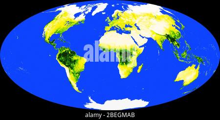 Mappa del mondo con foreste pluviali tropicali Foto Stock