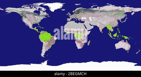 Mappa del mondo con foreste pluviali tropicali Foto Stock