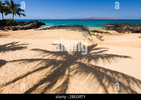 Palm Tree Shadows a Makena Cove, Makena, Maui, Hawaii. Foto Stock