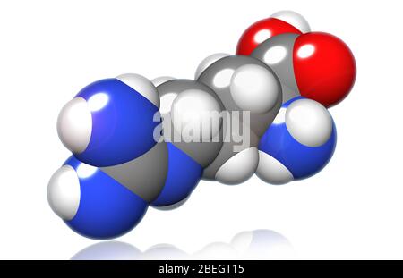 Arginina Foto Stock