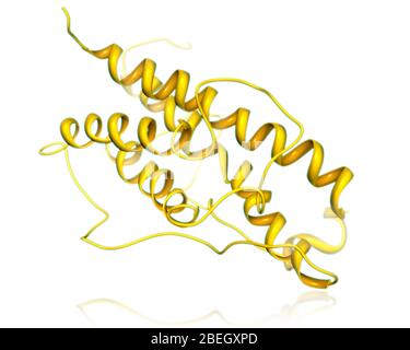 Modello molecolare dell'ormone della crescita Foto Stock