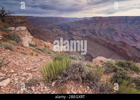 storm over Grand Canyon from mohave point Foto Stock