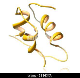 Modello molecolare dell'insulina monomerica Foto Stock