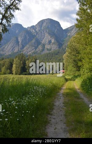 Chalets e terreni al Tweedsmuir Park Lodge, British Columbia, Canada Foto Stock