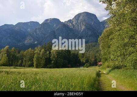 Chalets e terreni al Tweedsmuir Park Lodge, British Columbia, Canada Foto Stock