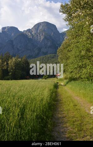 Chalets e terreni al Tweedsmuir Park Lodge, British Columbia, Canada Foto Stock