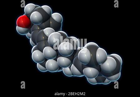 Vitamina D2, modello molecolare Foto Stock