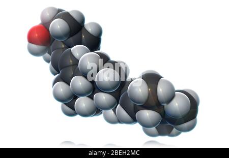 Vitamina D2, modello molecolare Foto Stock
