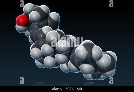 Vitamina D2, modello molecolare Foto Stock